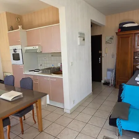 Location Apercu Wifi Apartament